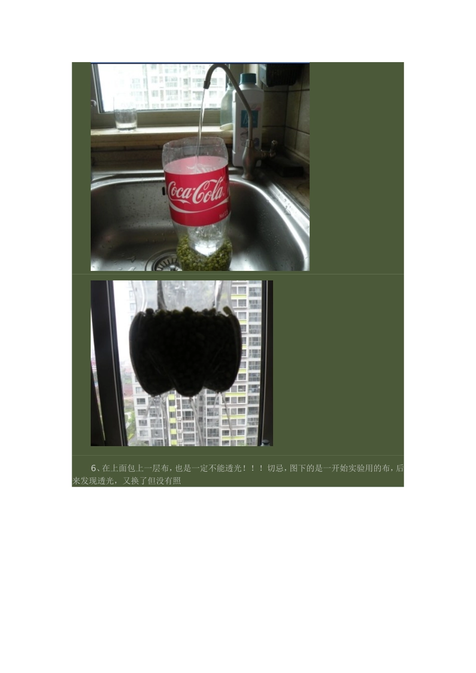 如何发豆芽的最好办法_第3页