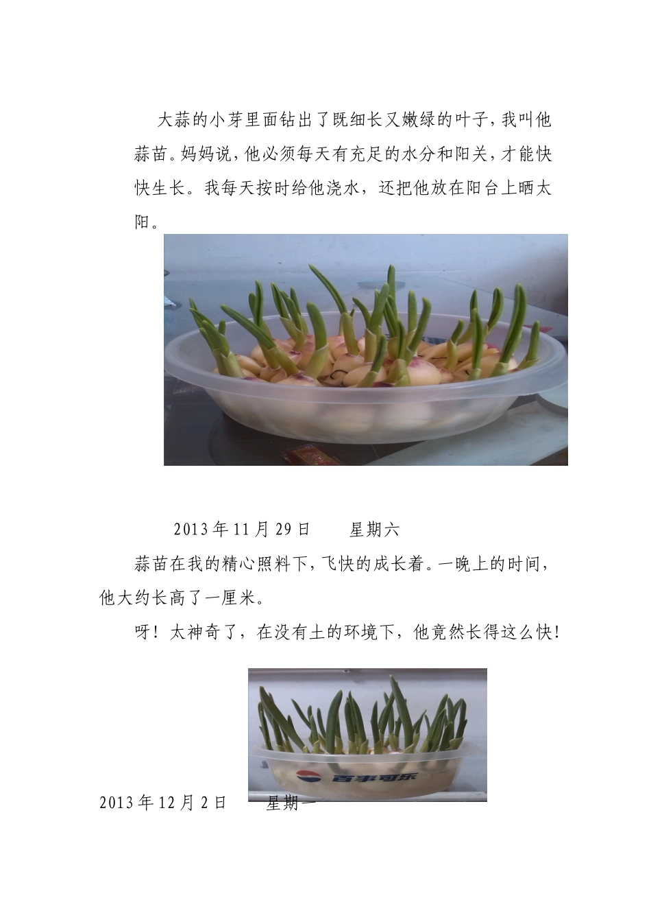 种植大蒜观察日记_第2页