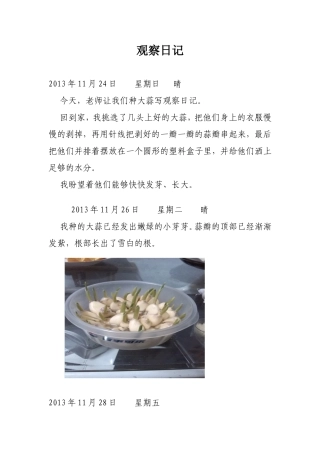 种植大蒜观察日记