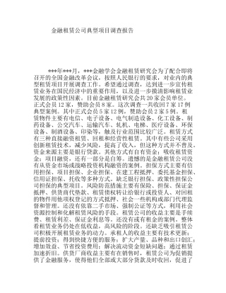金融租赁公司典型项目调查报告