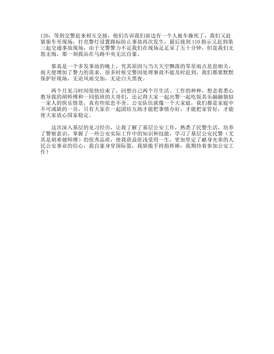 派出所见习总结_第3页