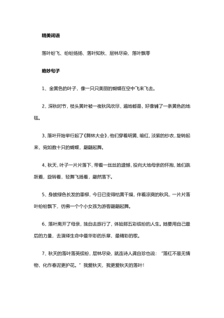 精美词语句子和片段