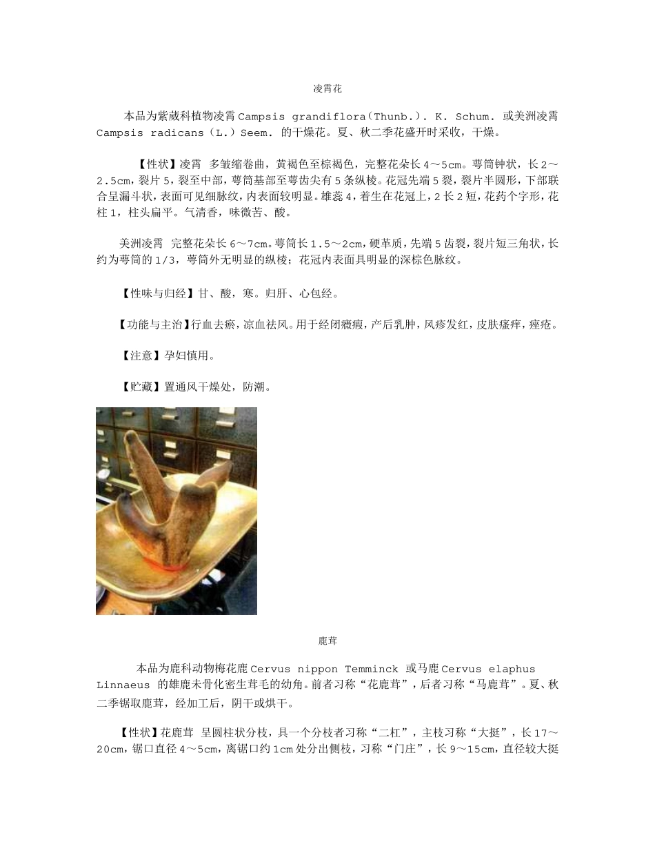凌霄花鹿茸等药材知识梳理_第1页