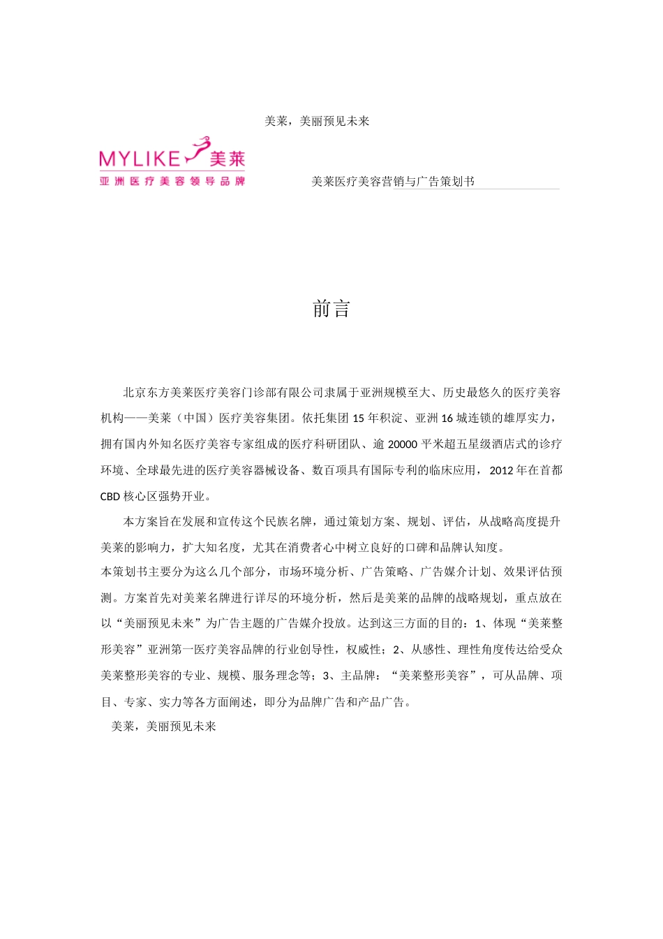 美莱医疗美容营销与广告策划书_第2页