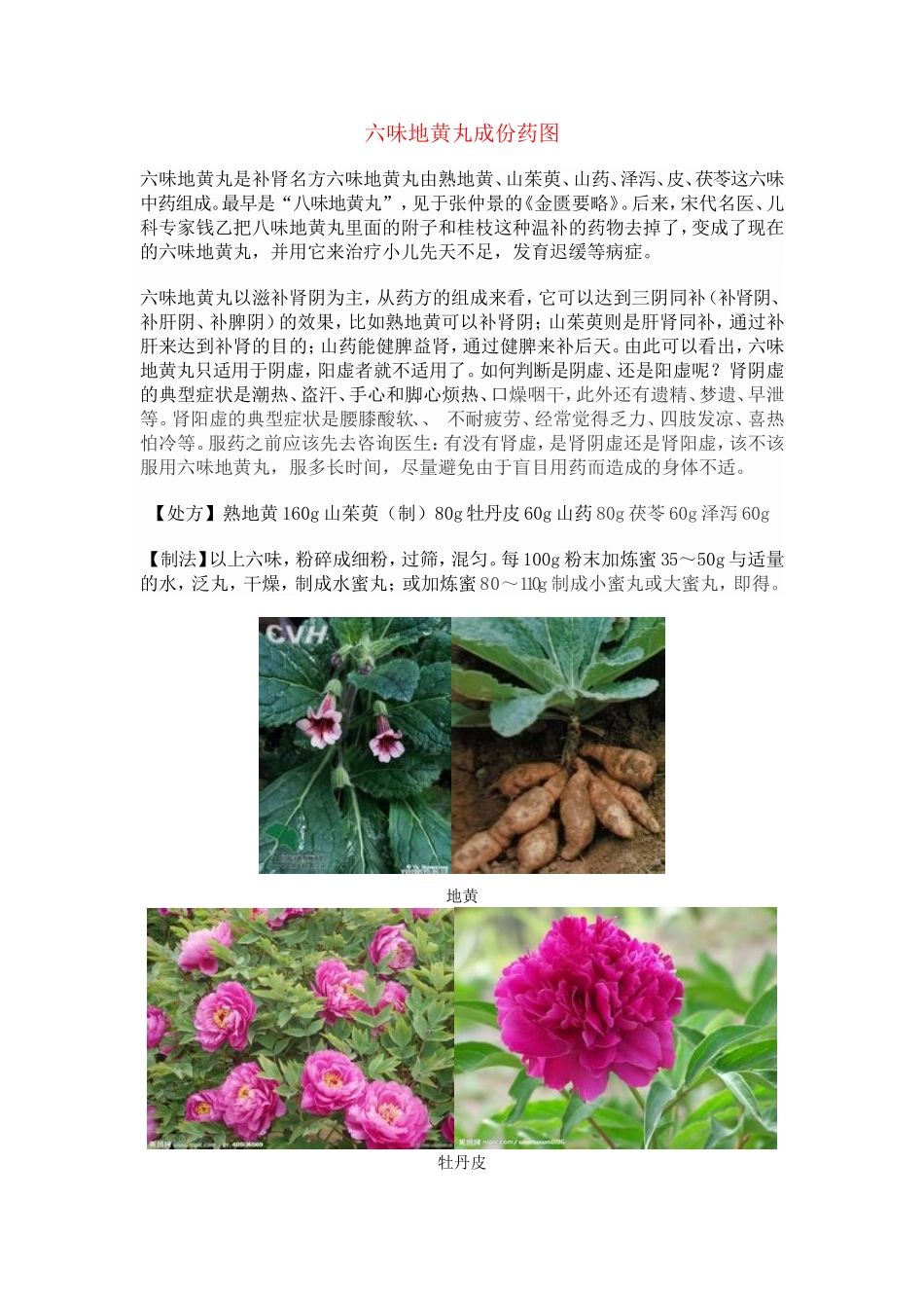 六味地黄丸成份药图_第1页