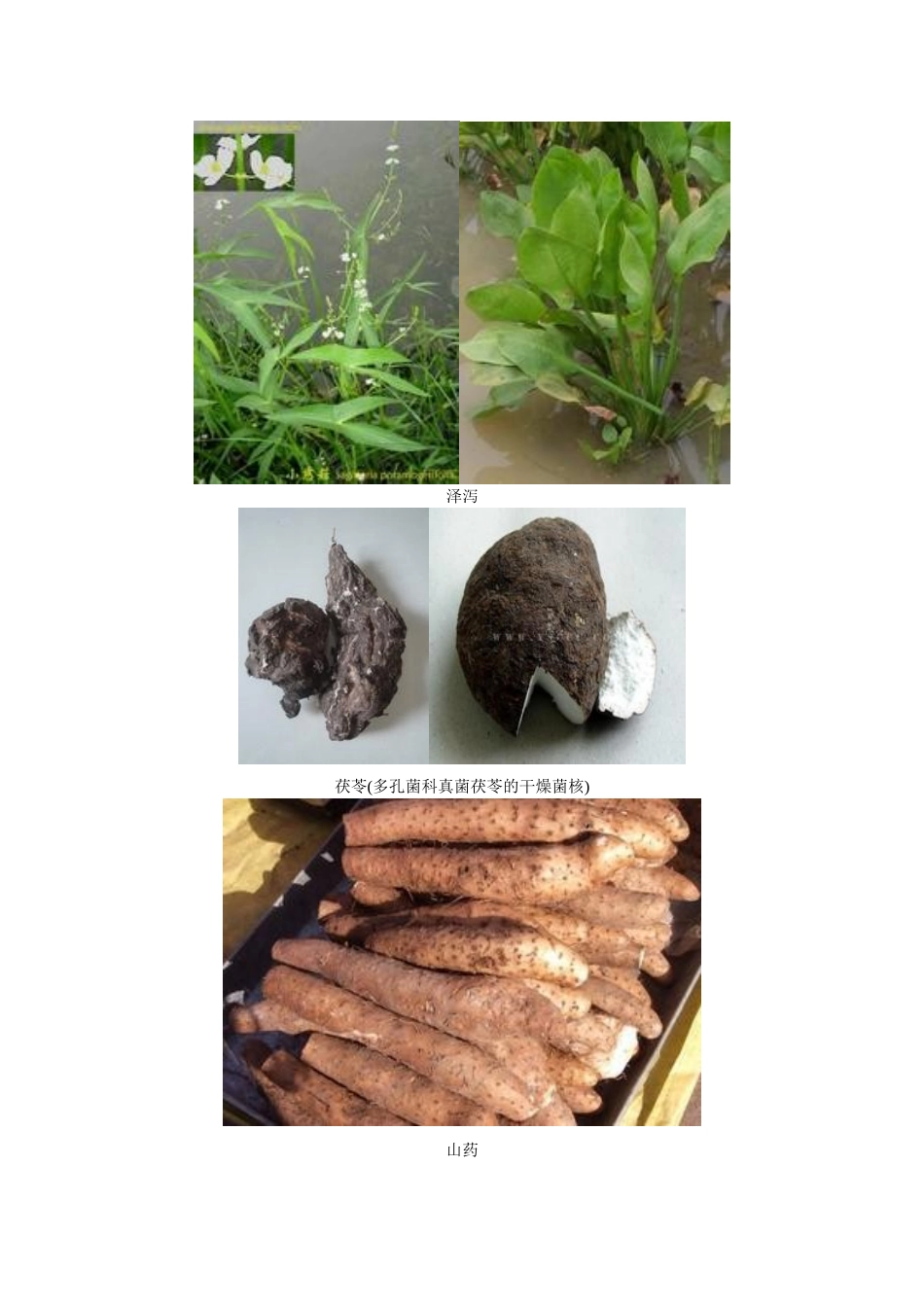 六味地黄丸成份药图_第2页