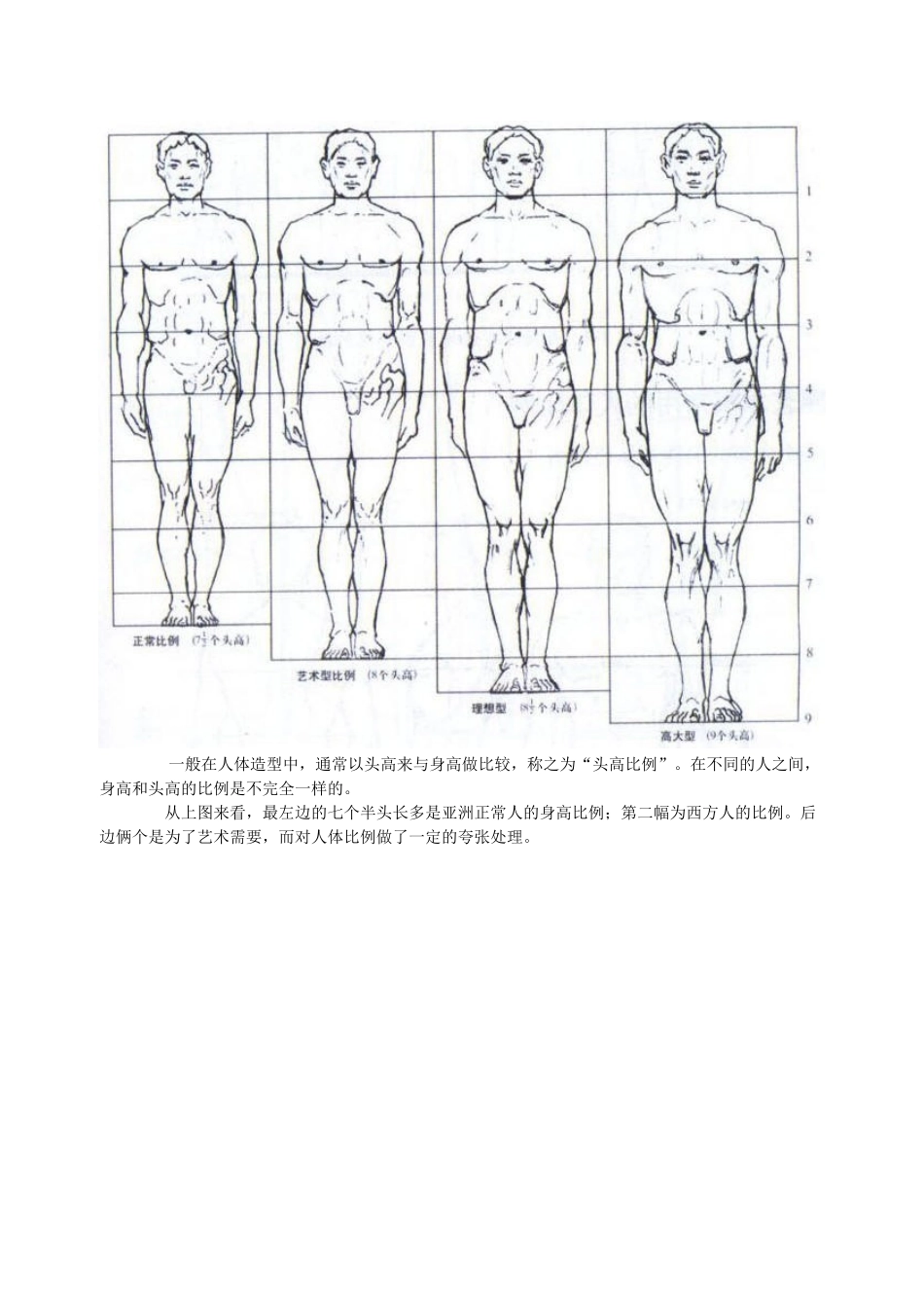 模型高级阶段——人体结构_第2页