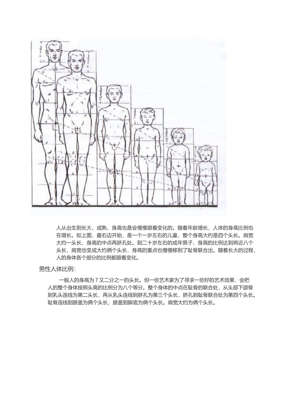 模型高级阶段——人体结构_第3页