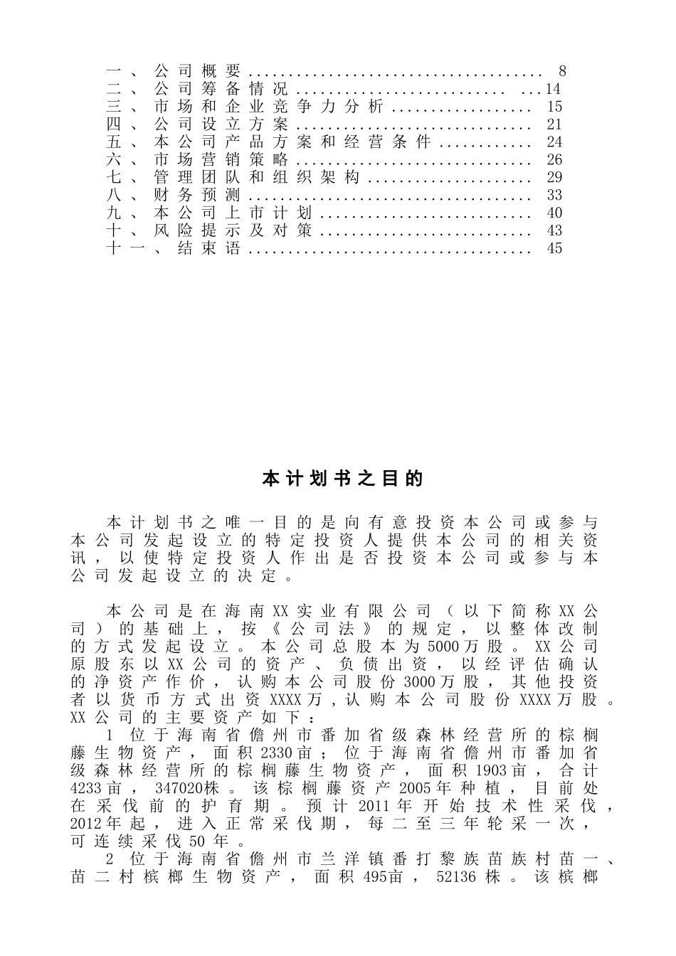 某某发展股份有限公司商 业 计 划 书_第2页