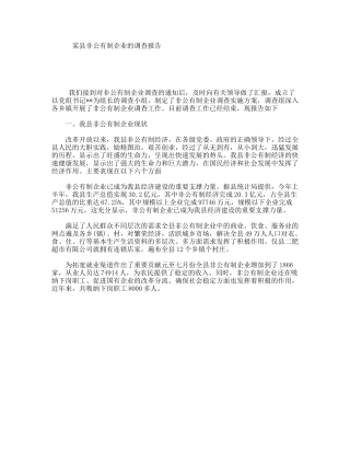 某县非公有制企业的调查报告