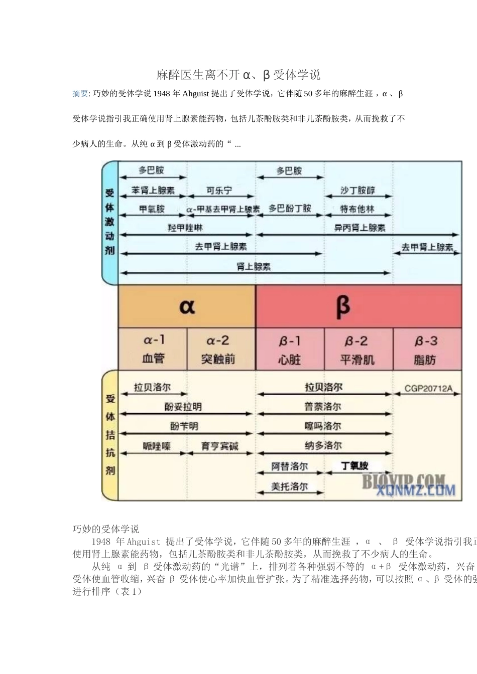 麻醉医生离不开α、β受体学说实验_第1页