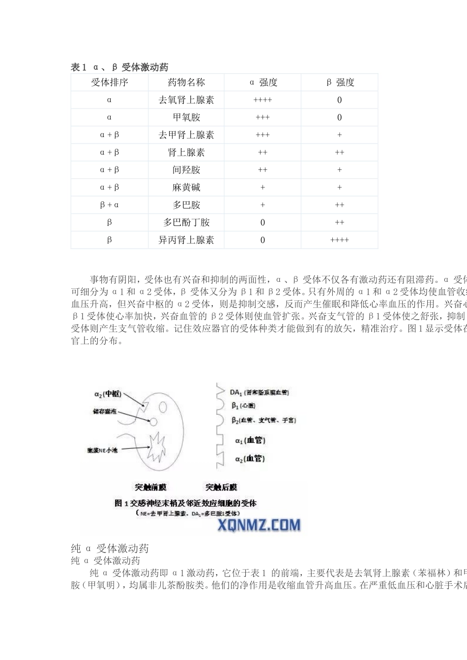 麻醉医生离不开α、β受体学说实验_第2页