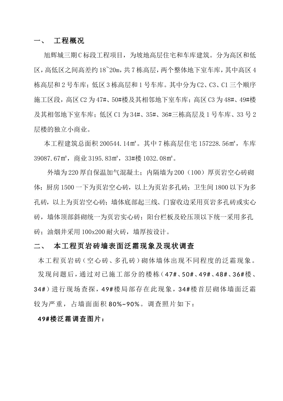 标段工程烧结页岩砖墙体表面泛霜处理措施_第2页