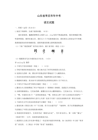 山东省枣庄市年中考语文试题