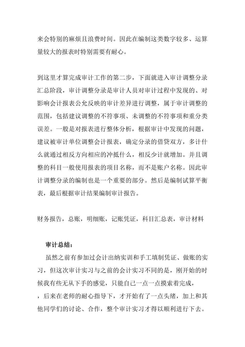 审计学专业实习报告_第3页