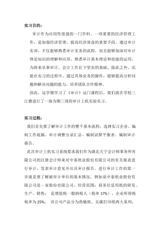 审计学专业实习报告