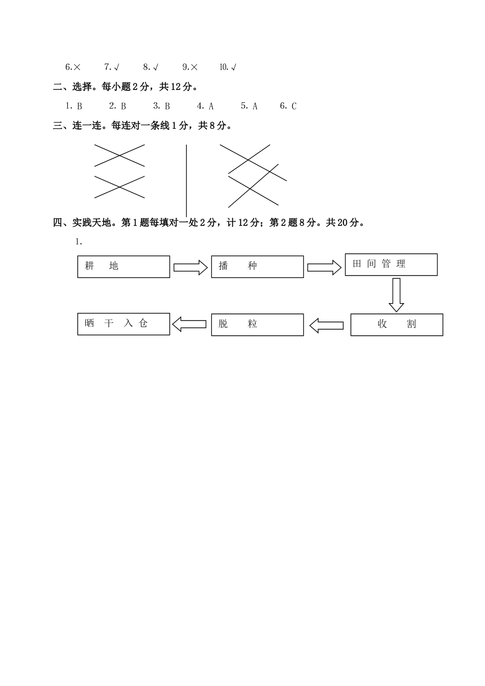 山人版小学五年级上册品社期中质量检测_第3页