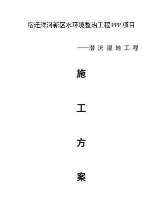 新区水环境整治工程PPP项目潜流湿地工程施工方案