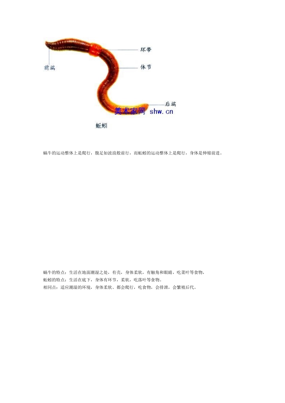 蜗牛蚯蚓等昆虫知识汇总_第2页