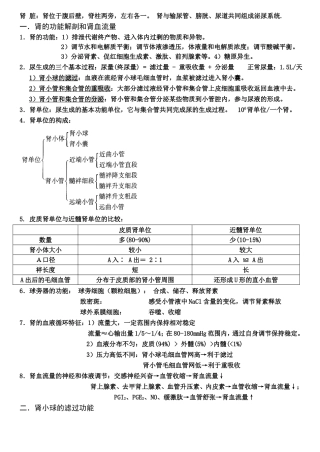 肾脏知识点梳理汇总