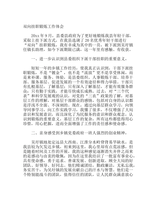 双向挂职锻炼工作体会
