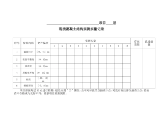 项目层现浇混凝土结构实测实量记录