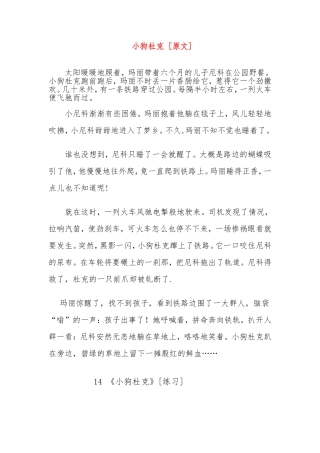 小狗杜克[原文]教学设计和练习题