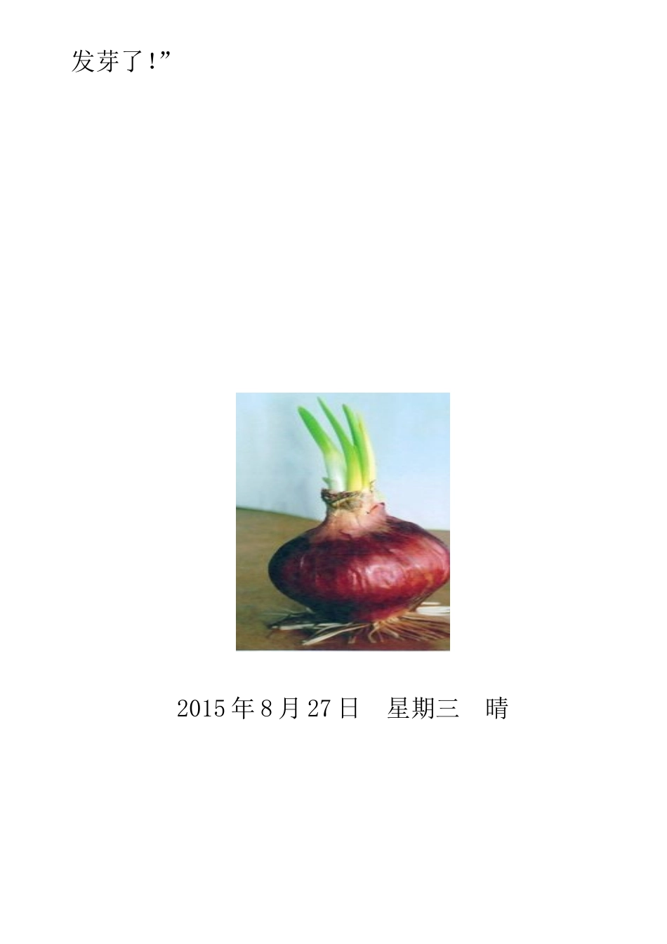 洋葱的命运——洋葱成长观察日记_第2页
