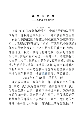 洋葱的命运——洋葱成长观察日记