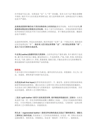 牛皮“皮”与“革概念分析