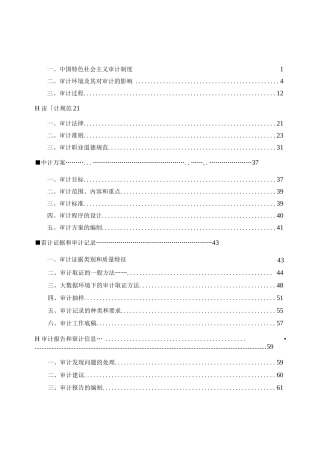 2023高级审计实务