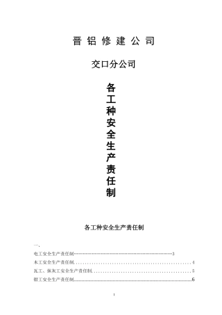 安全生产责任制(各工种)