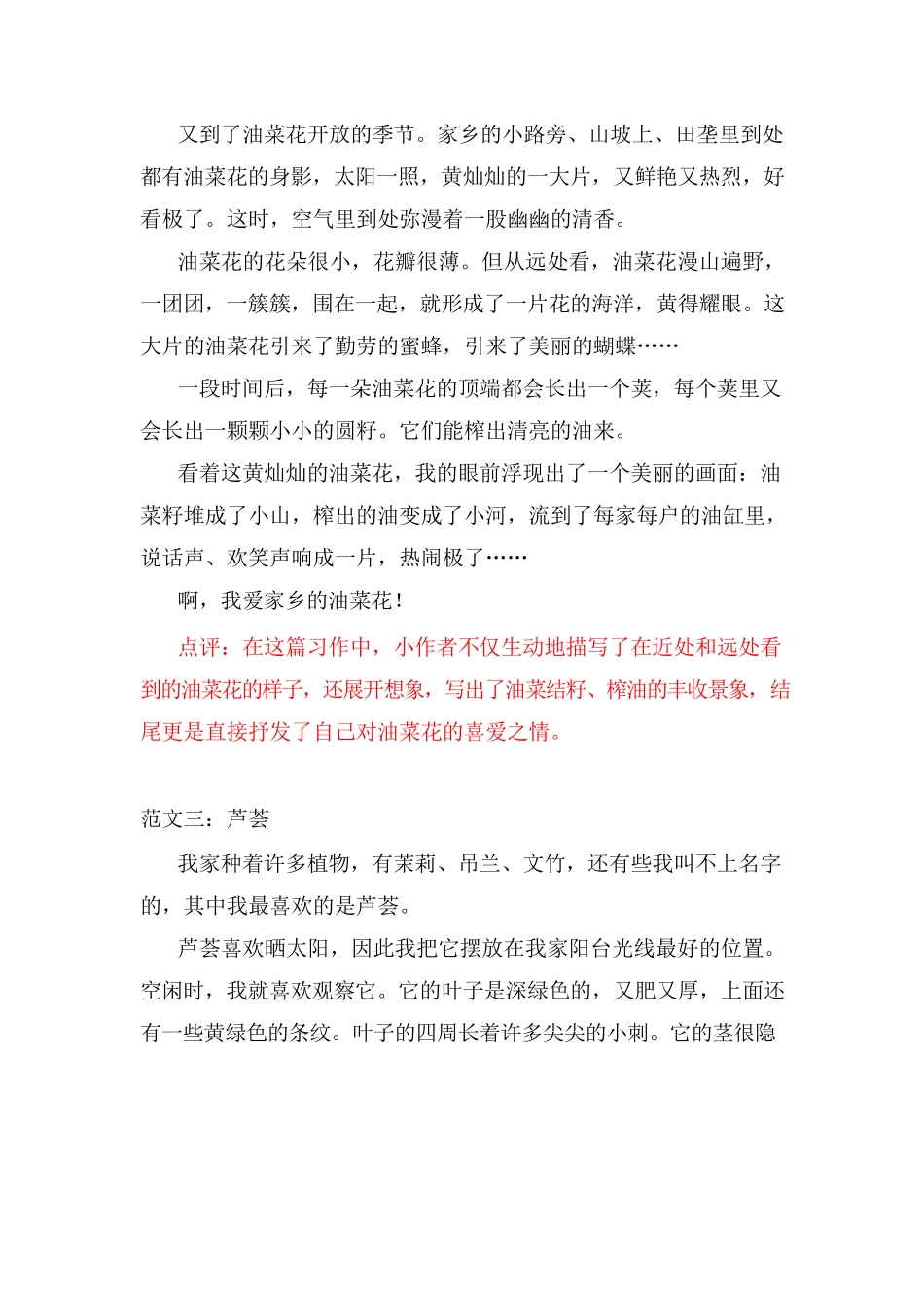 部编三年级语文下册第1-8单元习作范文_第2页