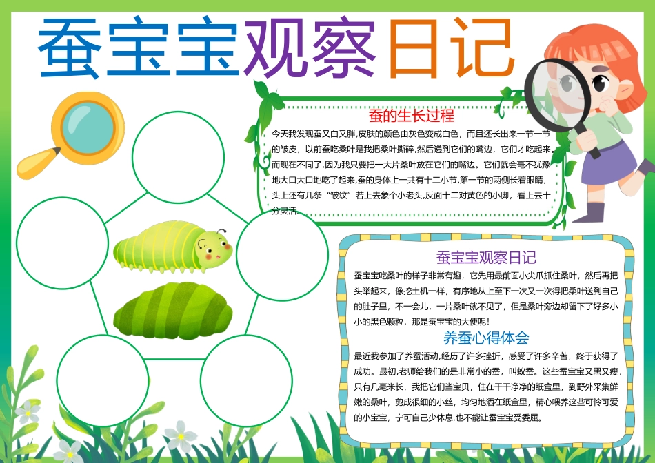 蚕宝宝观察日记_第1页