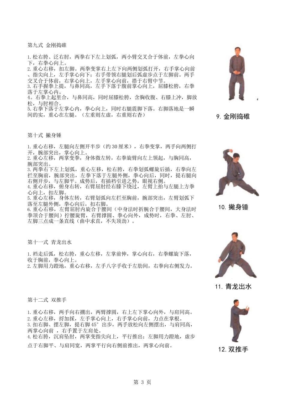 陈式24式养生太极拳图谱(王西安拳法)_第3页
