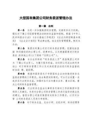 大型国有集团公司财务委派管理办法