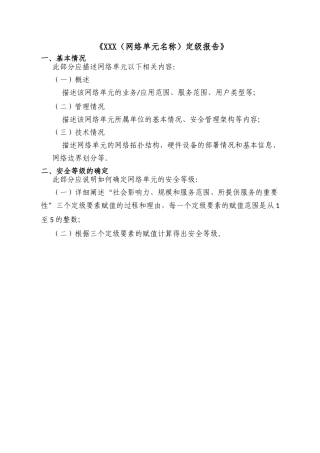 定级报告模板 