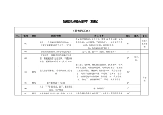 短视频分镜头脚本(模板)