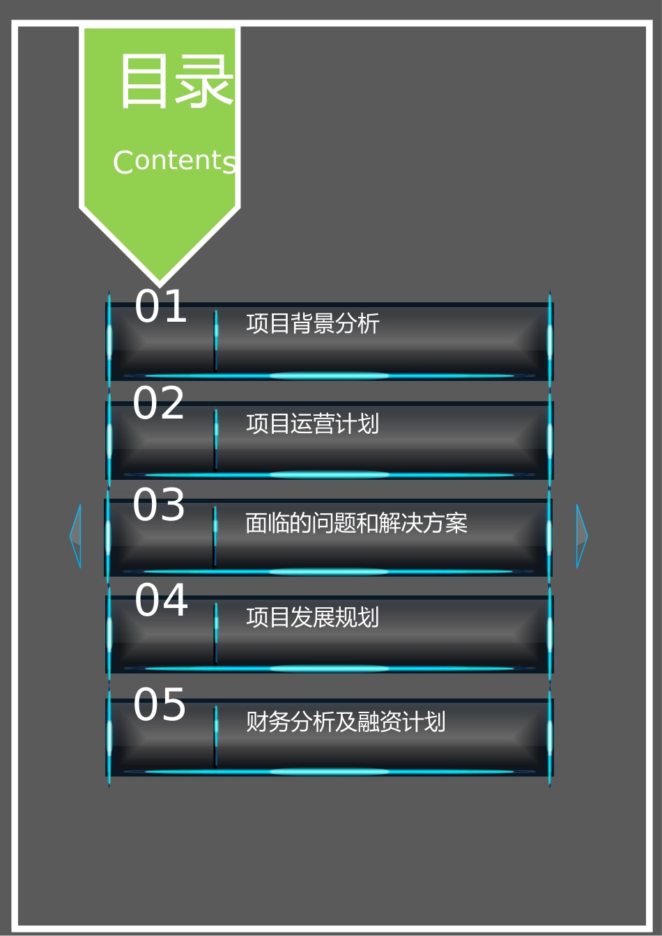 高端创业融资项目商业计划书word模板_第2页
