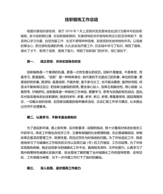 挂职锻炼工作总结