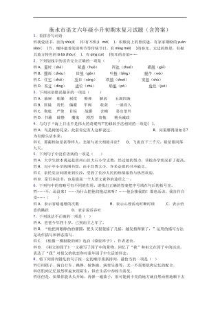 衡水市语文六年级小升初期末复习试题(含答案)