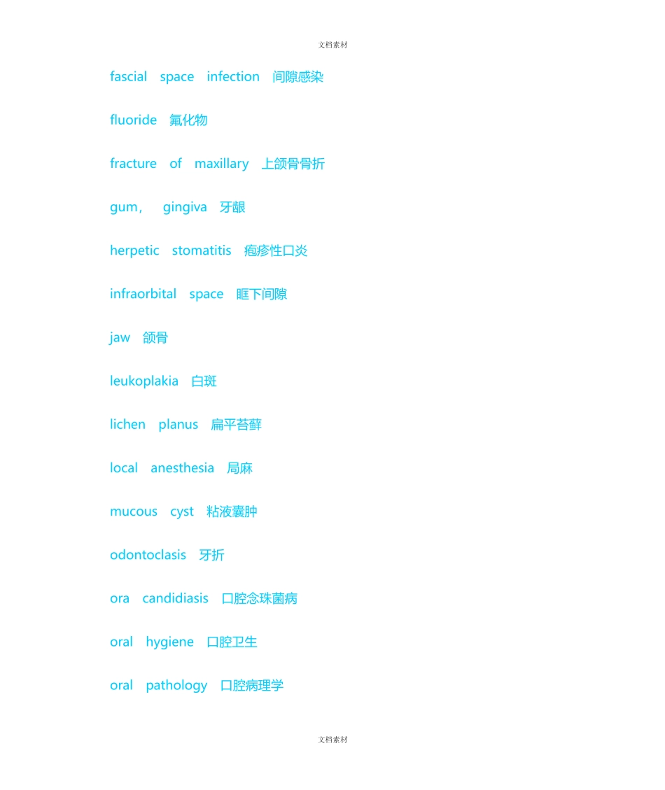 口腔英文词汇_第2页