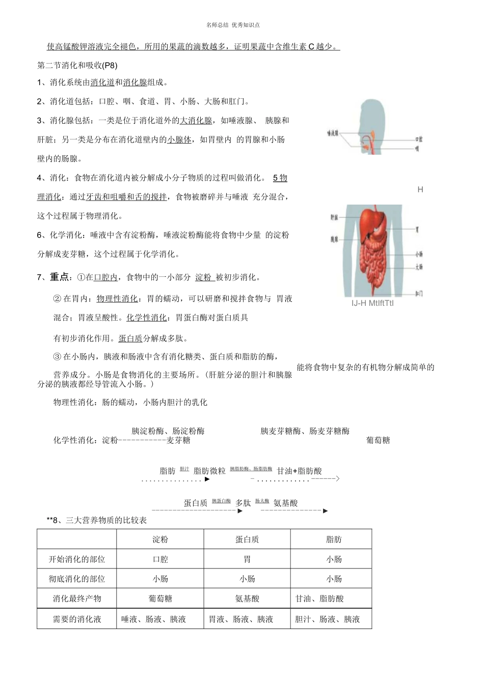 七年级生物下册知识点((济南版)_第3页