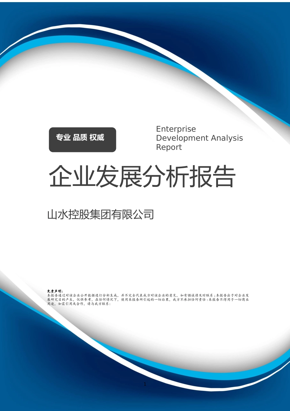 山水控股集团有限公司介绍企业发展分析报告_第1页