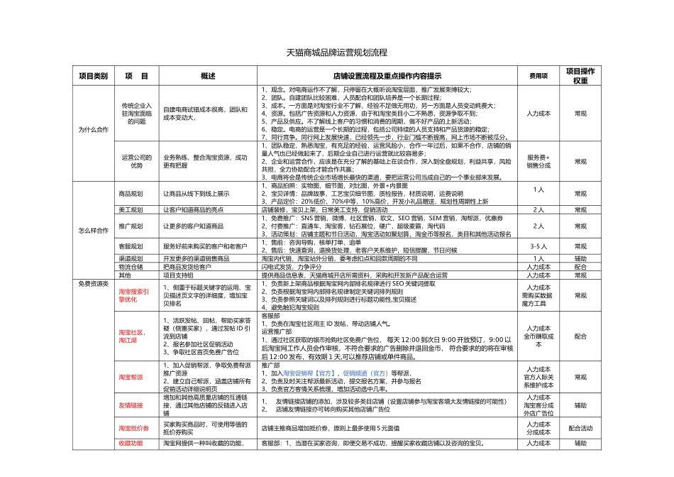 天猫商城品牌运营规划流程_第1页