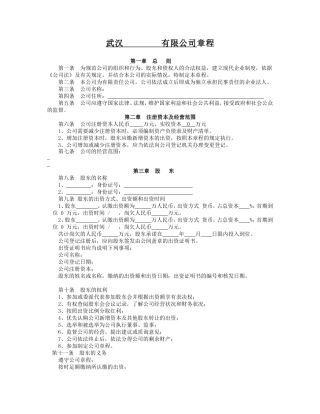 武汉公司章程模版(工商注册)