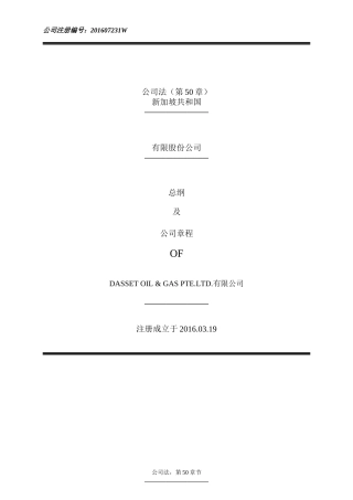 新加坡公司章程-精品