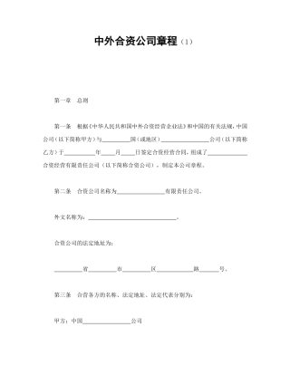 中外合资公司章程（一）