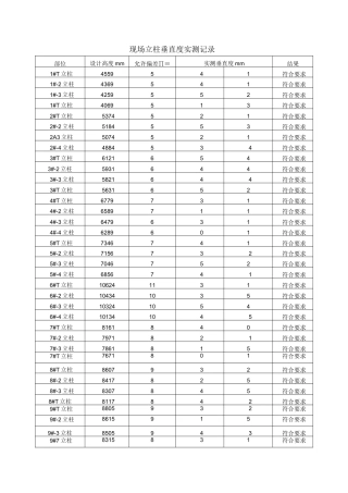 柱子垂直度统计表