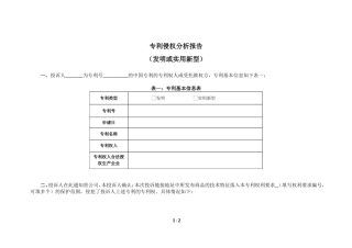 专利侵权分析报告